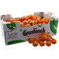 CLEMENTINE 10KG
